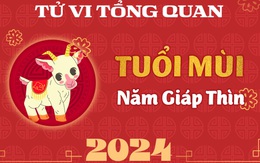 Tử vi tổng quan tuổi Mùi năm Giáp Thìn 2024: Cát tinh vây quanh, quý nhân hỗ trợ song cần lưu ý điểm này