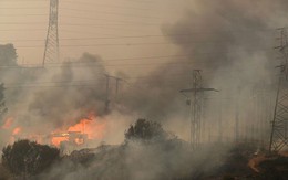 Thảm họa cháy rừng ở Chile