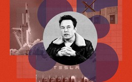 Tiết lộ sốc: Nhiều thành viên HĐQT, giám đốc của Tesla sử dụng ma túy cùng Elon Musk, bao che cho nhau mọi thứ kể cả lương thưởng