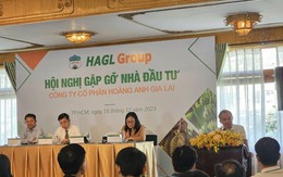 HAGL tiếp tục thanh toán một phần gốc của lô trái phiếu trị giá 6.546 tỷ đồng