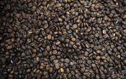 Tỷ giá đồng USD và căng thẳng ở Biển Đỏ khiến giá cà phê tăng mạnh tại Ai Cập