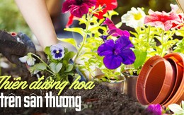 Tôi dành 3 năm để cải tạo khoảng sân thượng 30m3 thành khu vườn trên cao và nhận ra hạnh phúc thực sự là gì