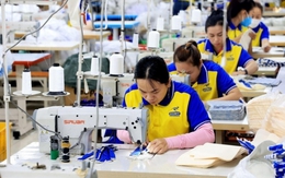 Năm 2024, doanh nghiệp Việt Nam đang có động lực, tinh thần phát triển mạnh mẽ