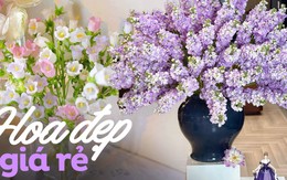 5 loài hoa đang được bán với giá chỉ từ 18.000 đồng/10 bông, vừa rẻ vừa đẹp bất ngờ