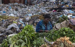 Thế giới ngập trong gần 4 tỷ tấn rác vào năm 2050