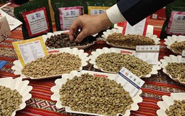 Bất ngờ với danh sách doanh nghiệp xuất khẩu cà phê rang xay hàng đầu Việt Nam