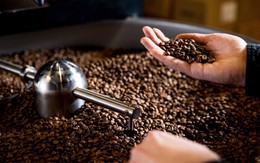 Giá cà phê 'bốc đầu' lên gần 92 triệu đồng/tấn, Trung Nguyên của ông Đặng Lê Nguyên Vũ và hàng loạt doanh nghiệp đứng trước hoàn cảnh chưa từng có
