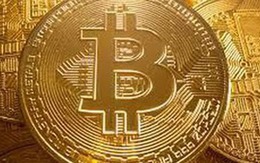 Bitcoin giá cao nhất lịch sử, xuất hiện chiêu trò lừa đảo “ăn theo”