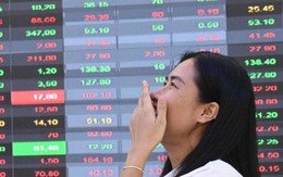 Chứng khoán vượt đỉnh, dòng tiền 'săn' cổ phiếu midcap