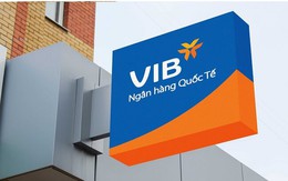 VIB đặt mục tiêu lợi nhuận hơn 12.000 tỷ đồng, dự kiến chia cổ tức tiền mặt tỷ lệ 12,5% trong năm 2024