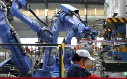 Lao động Trung Quốc đang bị robot 'chiếm lĩnh' với tốc độ nhanh nhất thế giới