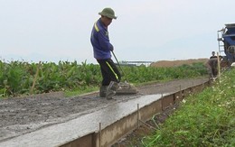Đấu giá hàng trăm nghìn m2 đất nông nghiệp tại Ba Vì