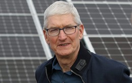 Một câu ‘vạ miệng’ của Tim Cook 5 năm trước vừa khiến Apple mất toi nửa tỷ USD