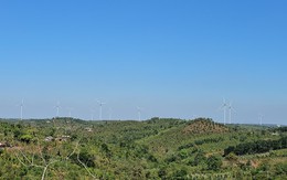 Đắk Nông giải trình loạt dự án điện gió bị Thanh tra Chính phủ ‘tuýt còi’
