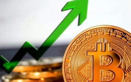 Bitcoin tăng giá kỷ lục: Dẫn dắt hay làm lạc hướng?