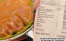Đĩa mọc nhúng lẩu "đính kèm" chất thải chuột trong nhà hàng ở Hà Nội khiến khách kinh hãi, nghe nhân viên giải thích càng thêm "rụng rời"