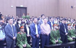 Chủ tịch Tân Hoàng Minh nộp thừa hơn 1 tỷ đồng để khắc phục hậu quả