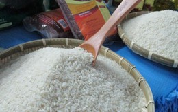 Vì sao giá gạo xuất khẩu đột ngột giảm mạnh rồi đảo chiều tăng?