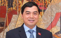 Ông Nguyễn Hoài Anh phụ trách, điều hành Đảng bộ tỉnh Bình Thuận