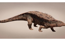 Xuất hiện "cá sấu quái vật" ở Mỹ, y như giáp long kỷ Jura