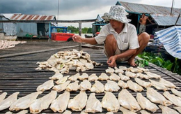 Cá tra Việt Nam thu hơn 200 triệu USD từ đầu năm, người Trung Quốc chuộng hơn cả hàng nội