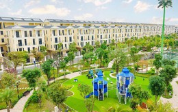 Thị trường hồi sinh, dòng tiền tìm đến các dự án có chính sách đột phá