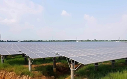 Nhiều "đại gia" Trung Quốc vào Việt Nam làm pin năng lượng mặt trời