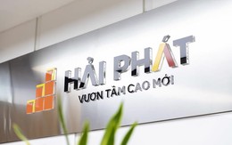 Hải Phát Invest thay Phó Tổng giám đốc mới, muốn huy động 3.000 tỷ đồng để trả nợ vay