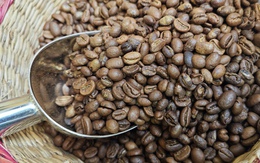 Giá cà phê lại gây bất ngờ sau khi liên tục tăng nóng