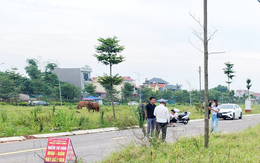 Bắc Giang tạm dừng giao dịch loạt lô đất vì đấu giá gian lận, thông đồng dìm giá