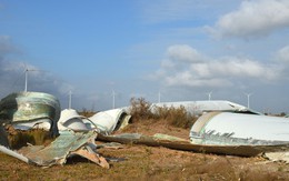 Vụ cánh điện gió ở Bạc Liêu rơi tự do: Thiệt hại hàng trăm tỉ đồng