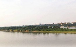 Hà Nội đề xuất quy hoạch khu bảo vệ chim di cư ở bãi giữa sông Hồng