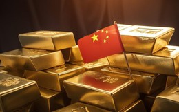 'Tưởng là 1 tấn rác công nghệ, nhưng lại là 2 lạng vàng' - Báo Trung Quốc chỉ ra cơ hội làm giàu có 102?