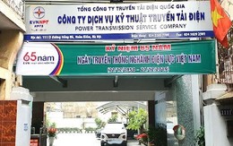 Sẽ ‘thay tên, đổi họ’ một doanh nghiệp ngành Điện?