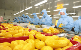 Loạt "gà đẻ trứng vàng" của Việt Nam: Có nhóm hàng đem về hơn 50 tỷ USD chỉ trong 2 tháng