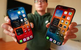 Lời thú tội của một chuyên gia về… iPhone Plus?