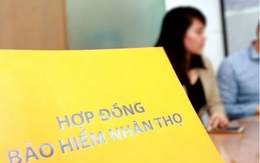 Một công ty bảo hiểm nhân thọ nắm giữ lượng lớn trái phiếu của Vietcombank, BIDV, VietinBank, Vingroup