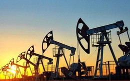 Nhu cầu dầu mỏ sẽ tăng mạnh trong mùa hè