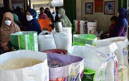 Giá gạo Thái Lan tăng cao do nhu cầu mạnh từ Indonesia