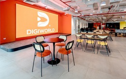 Toàn cảnh kinh doanh Digiworld (DGW) 2024: “show diễn” đích thực và quyết liệt