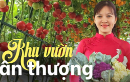 Mẹ đảm mê trồng cây sân thượng: Rau củ ăn quanh năm không hết phải mang tặng, vườn đẹp đến nỗi đồng nghiệp lẫn học sinh mầm non đến check-in