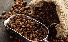 Giá cà phê trong nước liên tục phá kỷ lục, đang cao nhất lịch sử