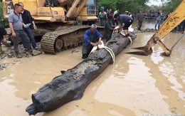 Người đàn ông "huy động" 2 máy xúc đào khúc gỗ "đen sì" dài 10m tỏa hương thơm ở sau nhà: Mất 8 ngày mới "lôi" được lên khỏi mặt đất, giá trị ước tính hơn 350 tỷ đồng