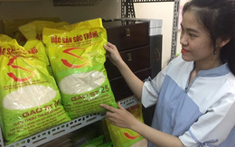Miễn thuế 9 loại gạo Việt xuất châu Âu, không có ST25