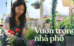 Bất chấp nhiều phản đối, tôi vẫn nhất quyết mua căn chung cư ở tầng cao nhất và biến ban công thành một khu vườn