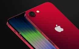 Đây là chiếc iPhone giá 10 triệu sắp ra mắt!