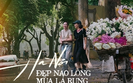 Hà Nội những ngày lá vàng rụng: Giữa hè mà ngỡ cuối thu, trời đất đẹp ngỡ ngàng chỉ có thể là "thích mê"