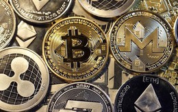 Nghe bạn cũ tham gia đầu tư Bitcoin, người phụ nữ bị lừa hơn 2 tỷ đồng