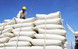 Giá gạo Ấn Độ chạm đáy của gần 3 tháng
