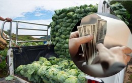 Người đàn ông mang balo tiền đi mua 4kg bắp cải, cảnh sát theo chân về tận nhà: phát hiện hơn 4 tỷ đồng được cất giấu, phanh phui đường dây tội phạm tinh vi